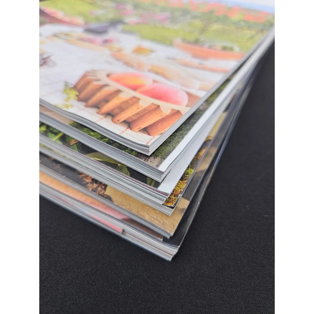 Lot of‎ 6 Travel Leisure Magazine 2023-2024 Culinary World Best Hotels Water